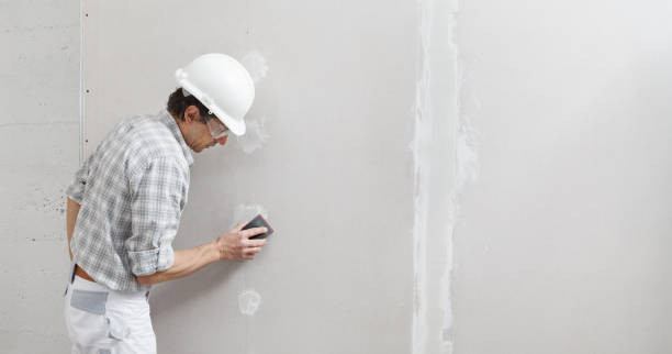 Best Water-Damaged Drywall Repair  in Llano Grande, TX